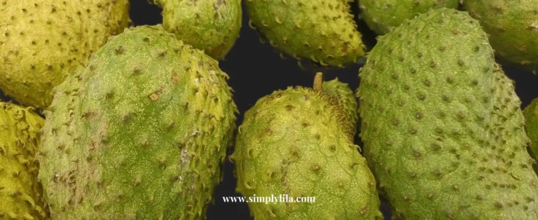 Close up of fresh guanabana soursop fruit with green spiky skin