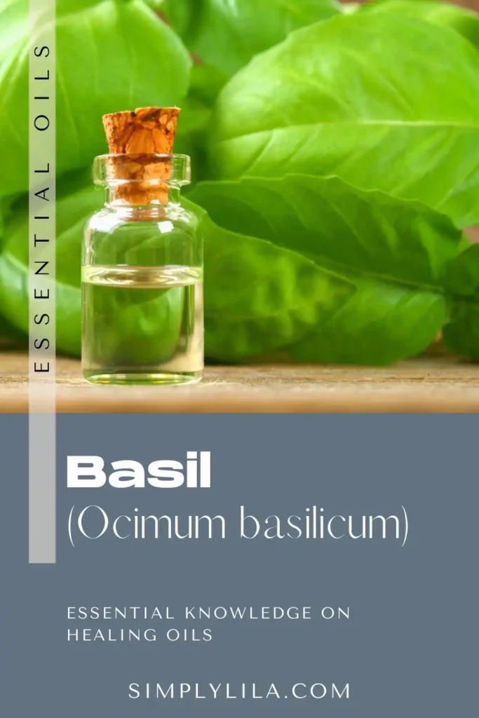basil essential oil in glass bottle with fresh basil leaves