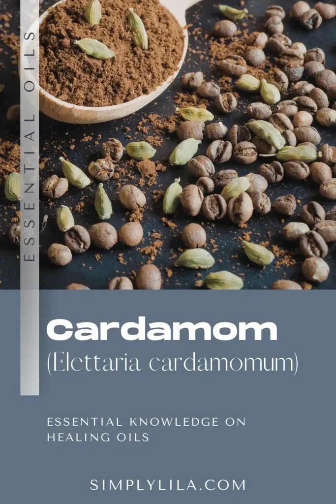 cardamom essential oil benefits Elettaria cardamomum aromatic spice oil