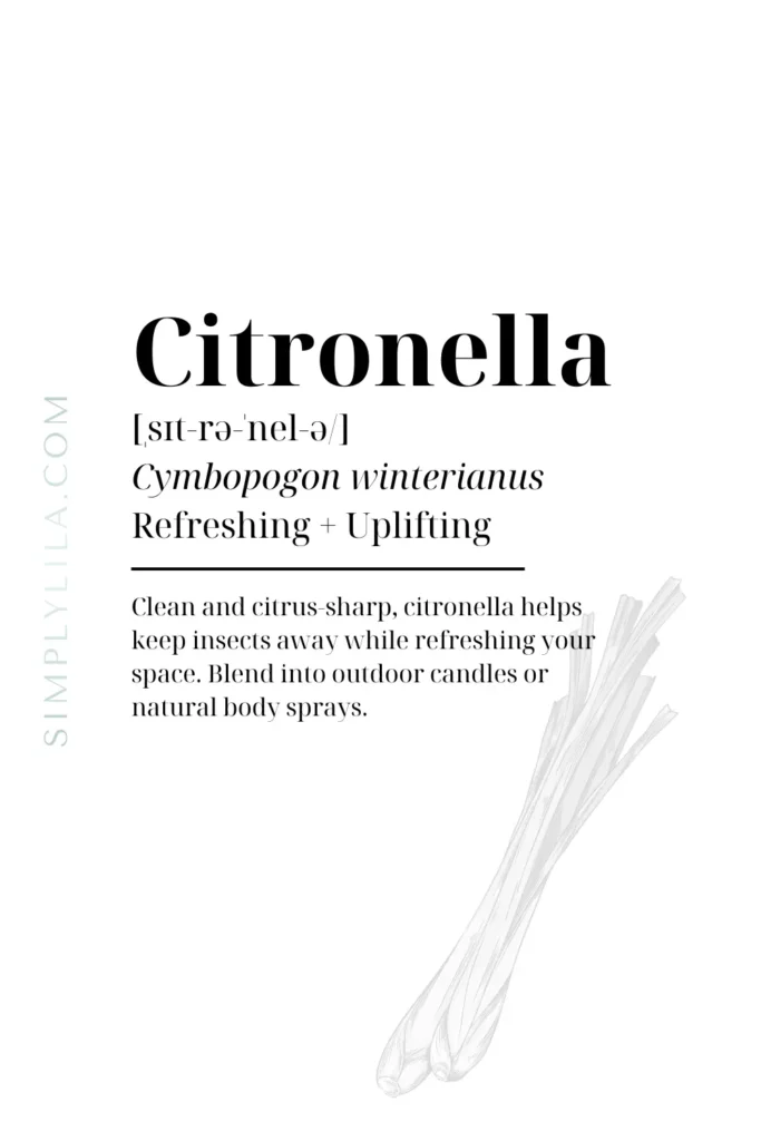 citronella essential oil benefits Cymbopogon winterianus natural insect repellent oil