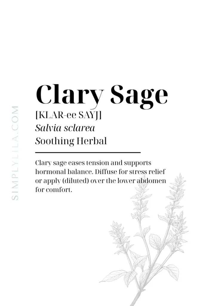 clary sage essential oil guide with Salvia sclarea botanical illustration