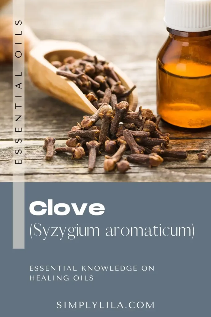 clove essential oil bottle with dried clove buds