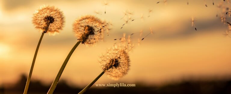 Dandelion: The Humble Herb with Powerful Health Benefits
