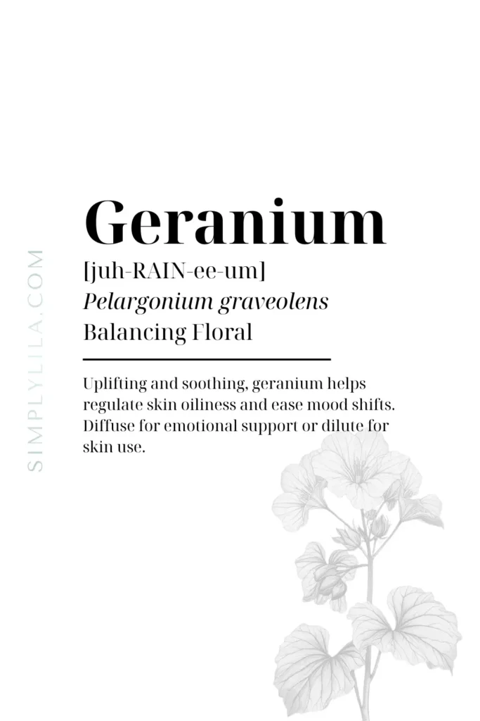geranium essential oil benefits Pelargonium graveolens balancing floral oil