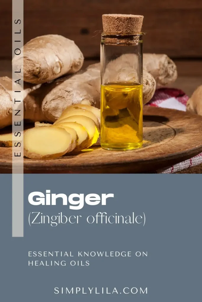 ginger essential oil benefits Zingiber officinale natural warming aromatherapy oil