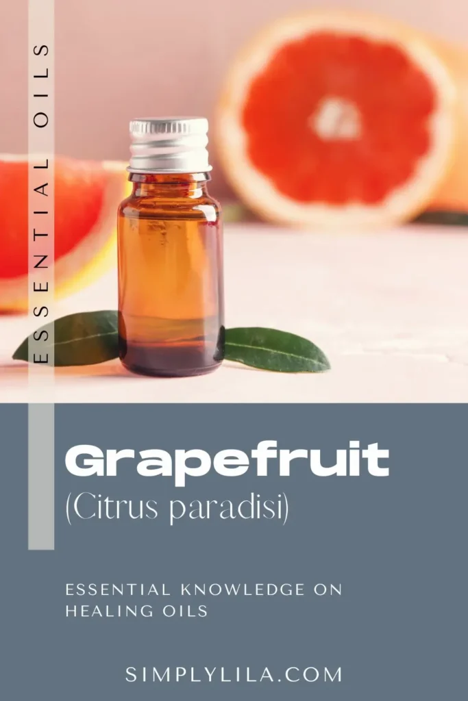 grapefruit essential oil benefits Citrus paradisi refreshing citrus aromatherapy oil