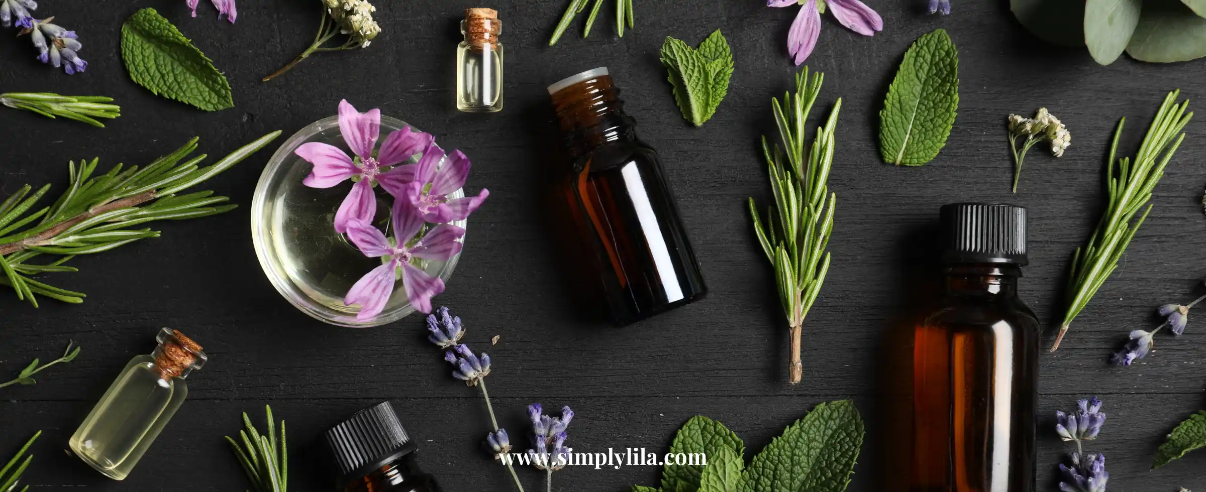 herbal essential oils with rosemary lavender and mint for aromatherapy