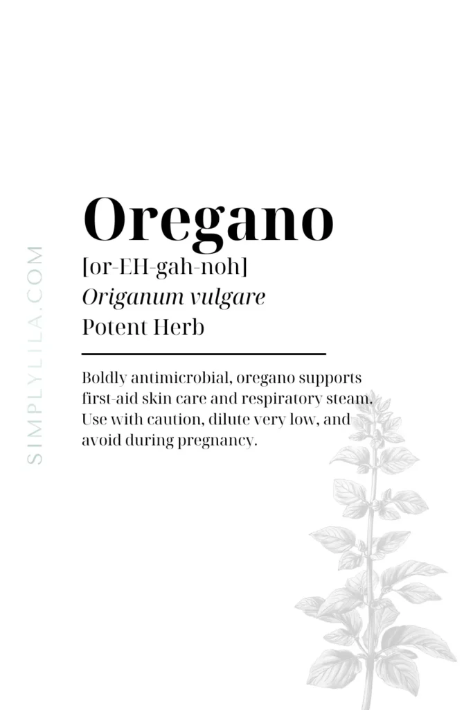 oregano essential oil antimicrobial benefits Origanum vulgare potent herbal oil