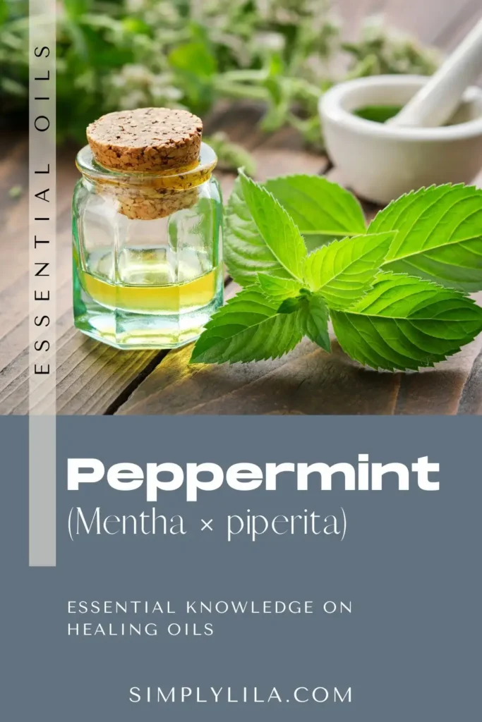 peppermint essential oil benefits Mentha piperita cooling herbal aromatherapy oil