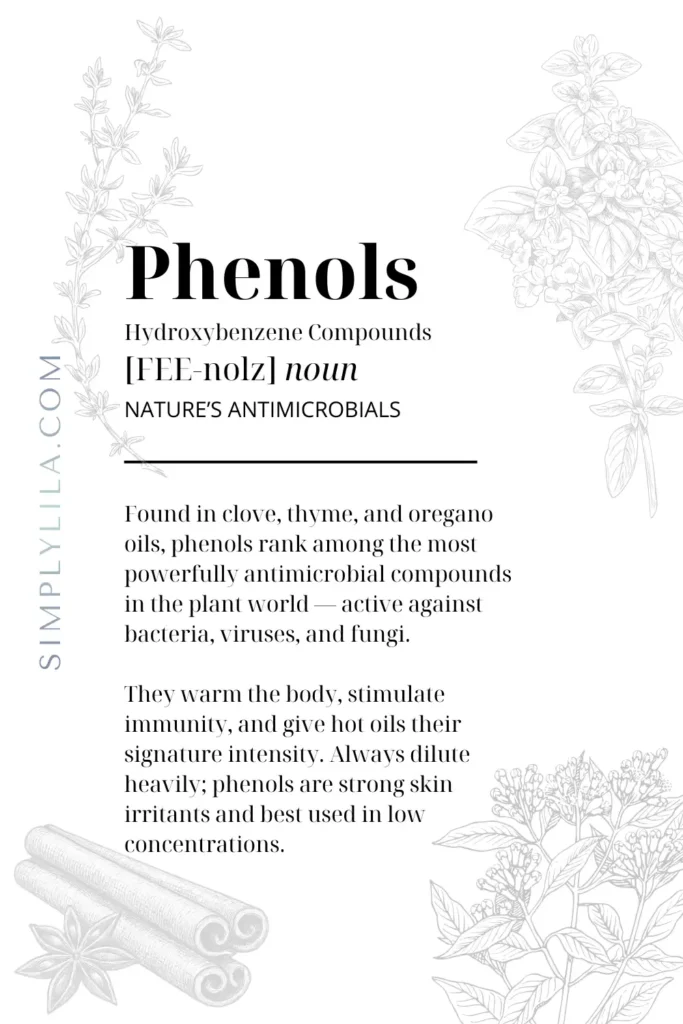 Phenols definition card — nature's antimicrobials found in clove, thyme and oregano essential oils