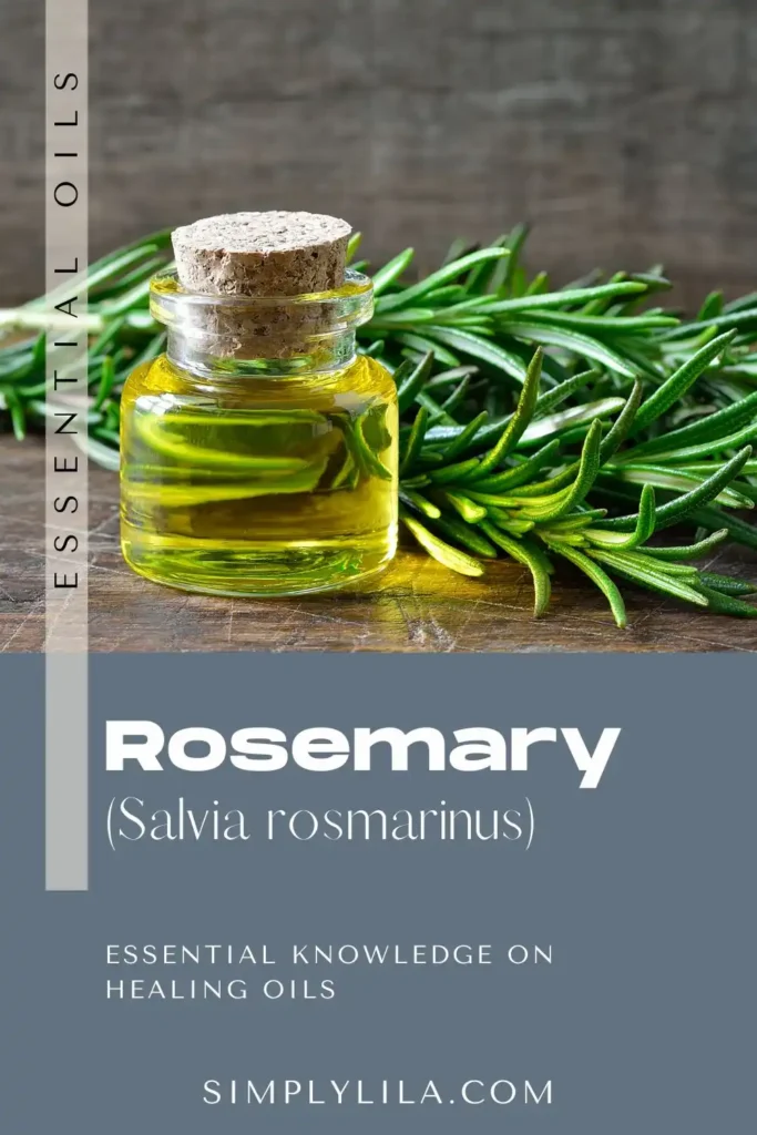 rosemary essential oil benefits Salvia rosmarinus herbal aromatherapy oil