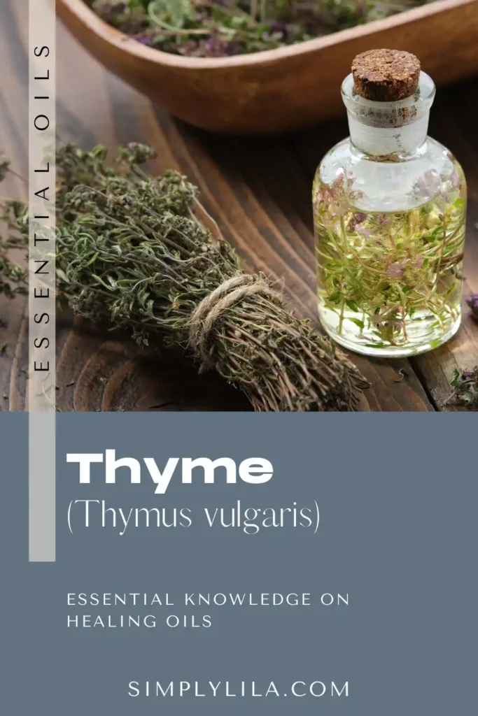 thyme essential oil benefits Thymus vulgaris herbal antimicrobial oil