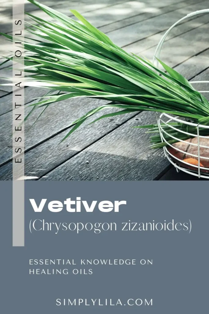 vetiver essential oil benefits Chrysopogon zizanioides grounding aromatherapy oil