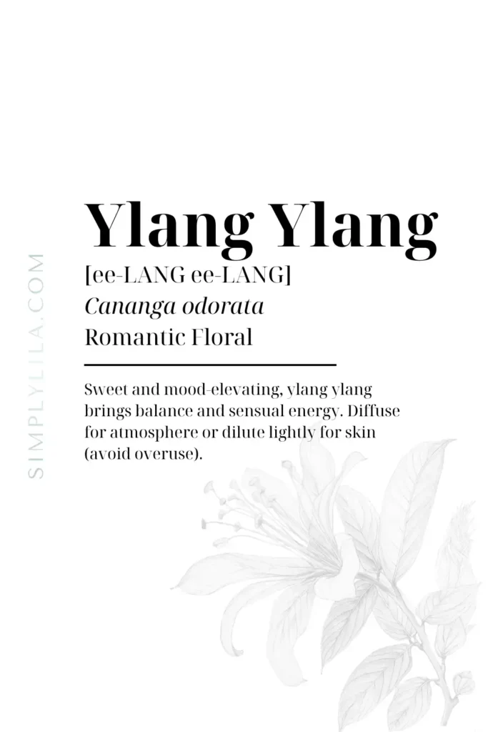 ylang ylang essential oil benefits Cananga odorata floral aromatherapy oil